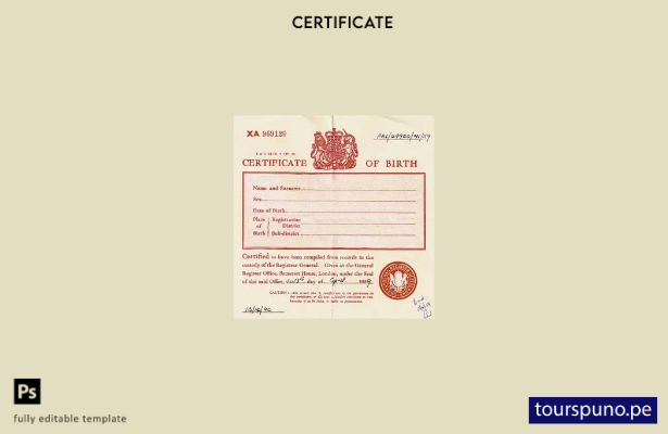 Plantilla de certificado de nacimiento de la Oficina de Registro de Inglaterra l